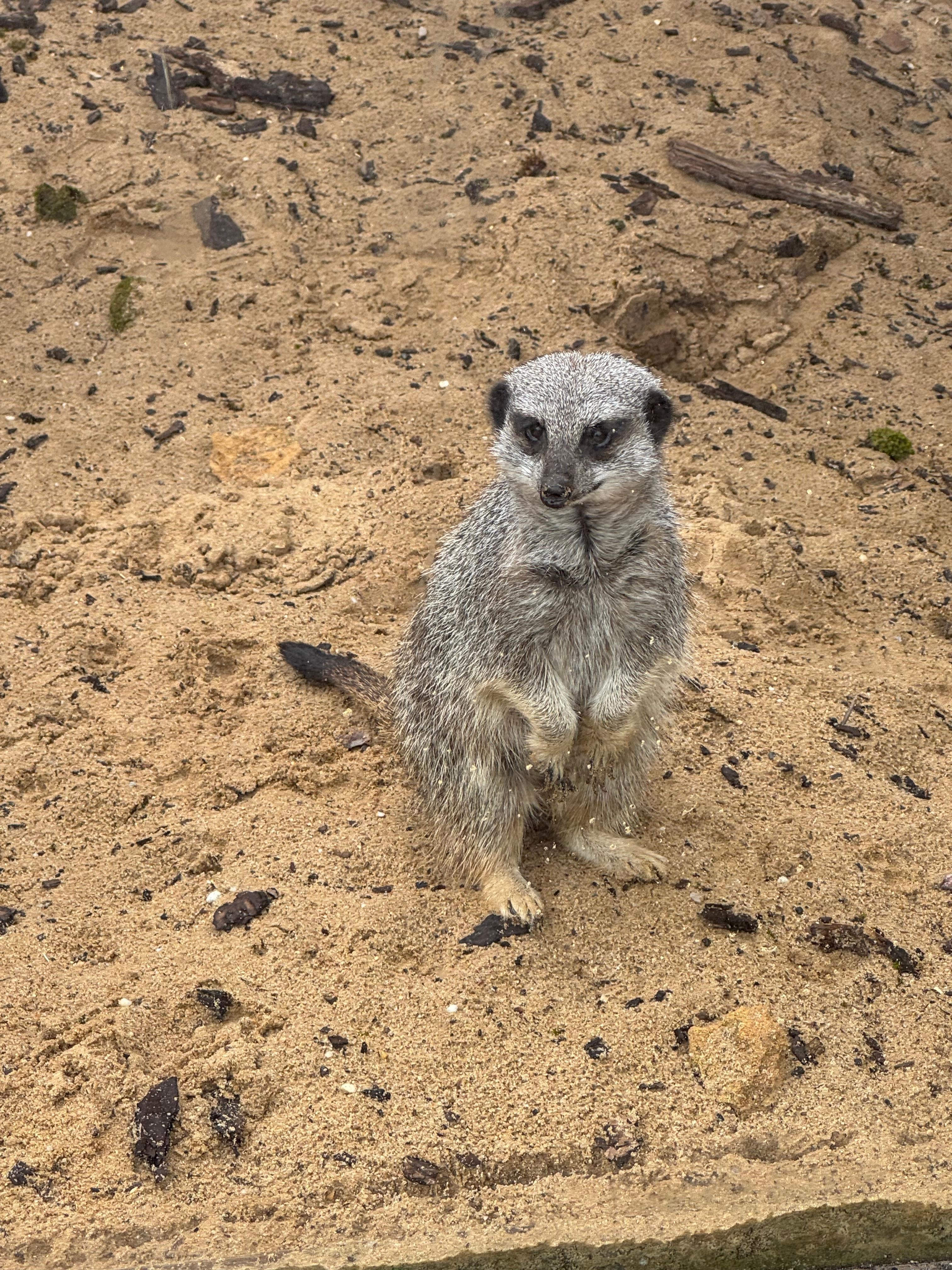 In an enclosure just outside the front door 