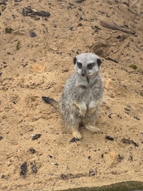 In an enclosure just outside the front door