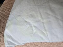 Pillow on master bed
