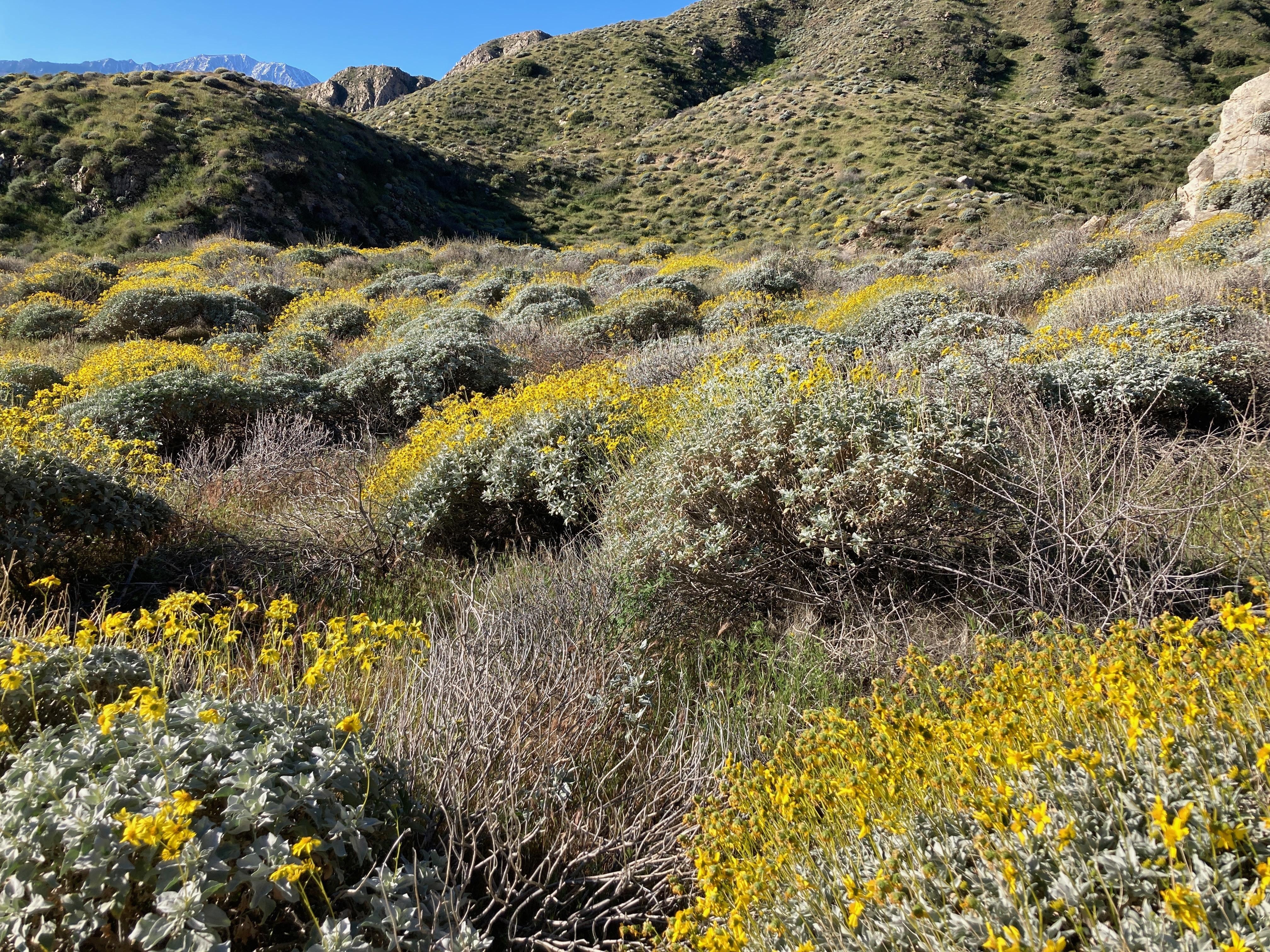 White Water Preserve hike