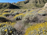 White Water Preserve hike
