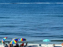 There were always dauphins playing in front of the condo