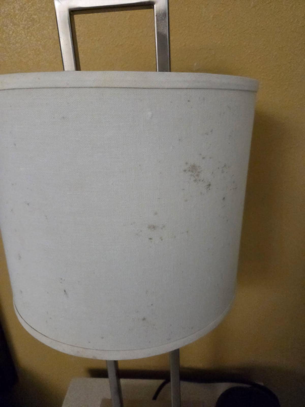 Mold on bedside lamps