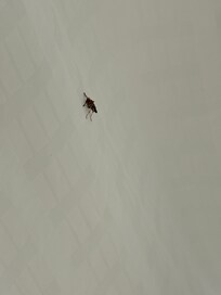 All in the shower