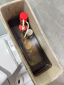 Caixa acoplada imunda e sem funcionar