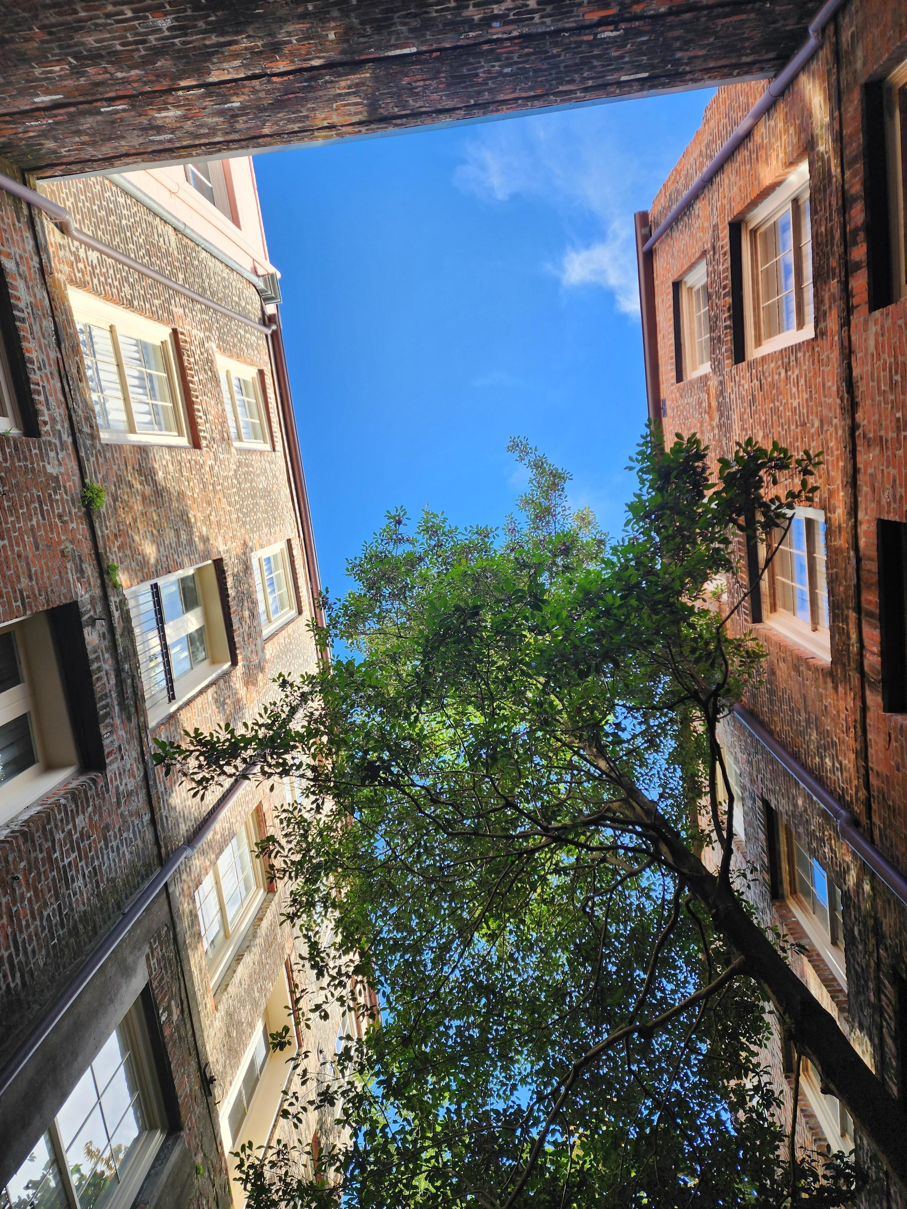 Look up!! Awesome view 