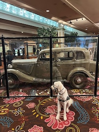 The actual Bonnie and Clyde ’34 Ford.