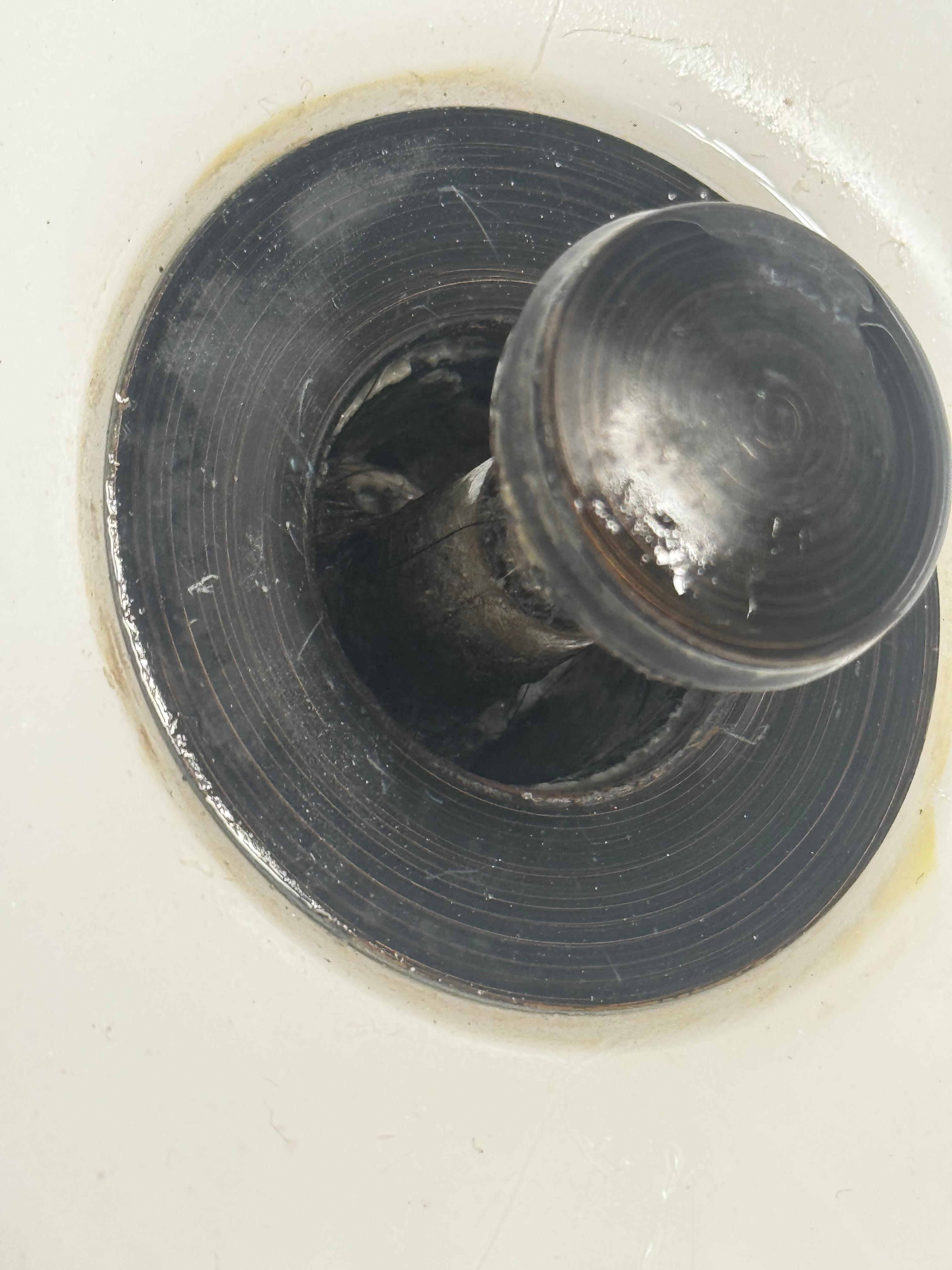 Bathroom Sink is full of hair and wouldn’t drain