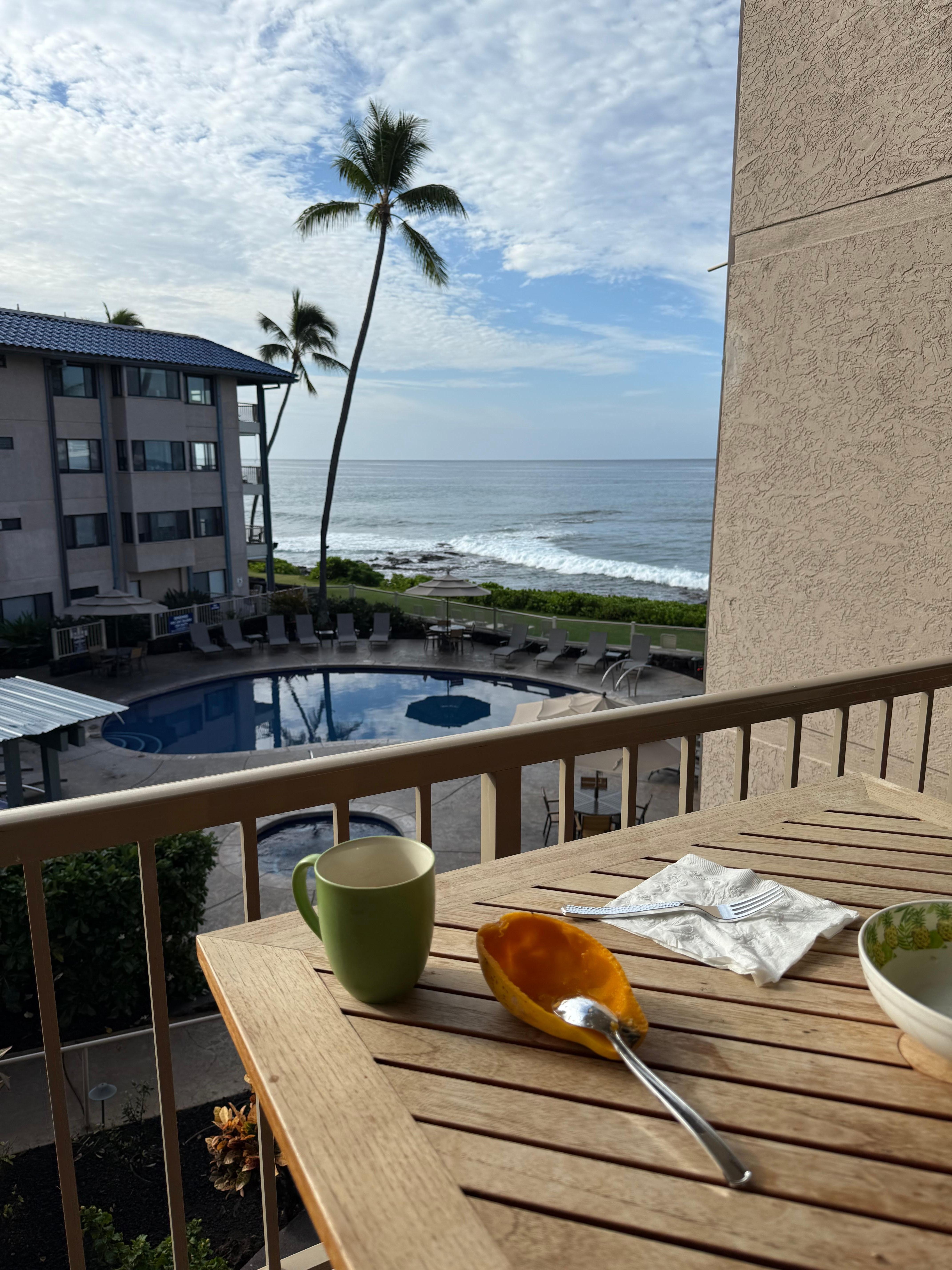 View from the lanai in the morning 