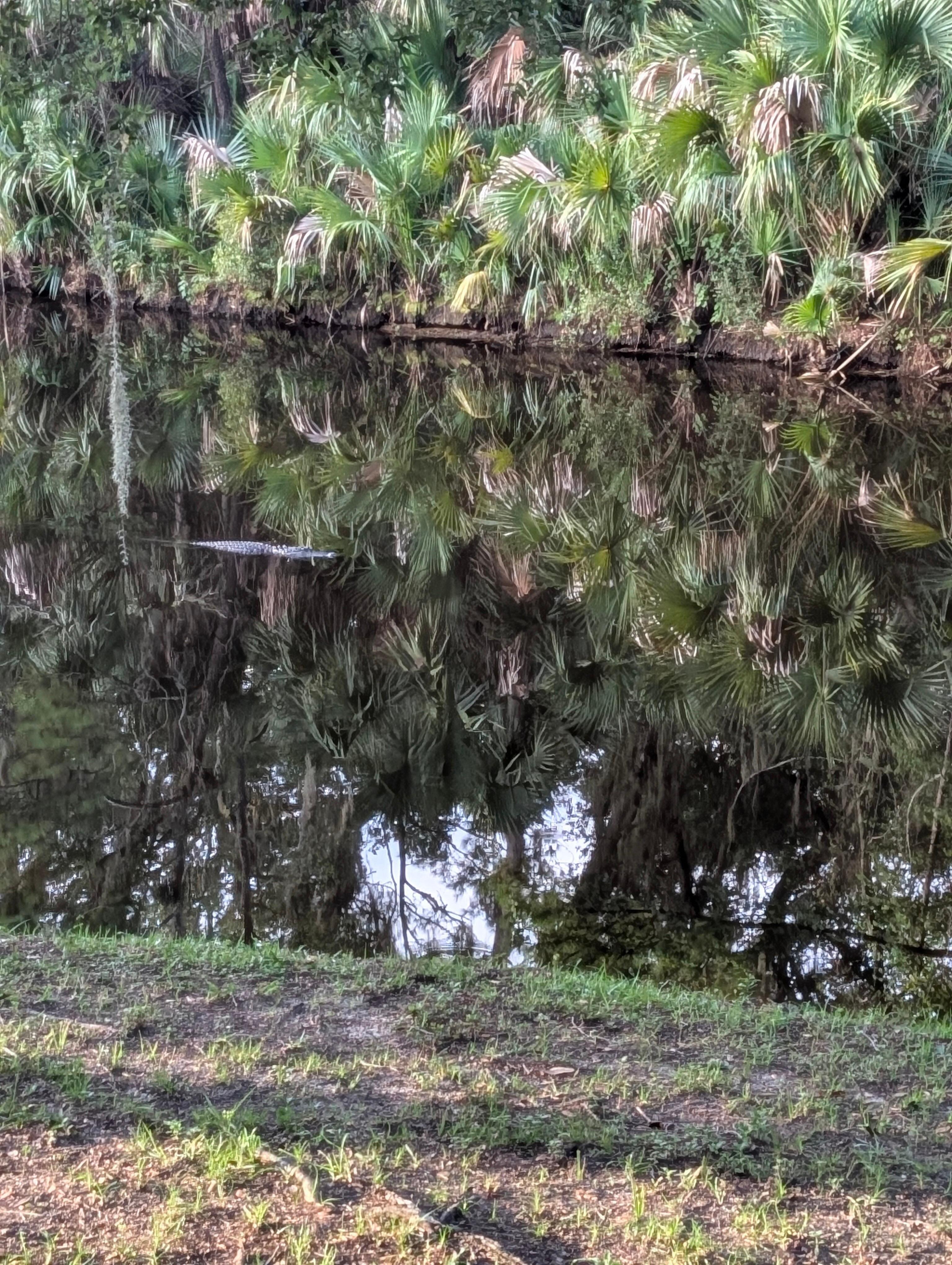 Looking out from the screened in porch. 