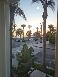 Ocean view from room
