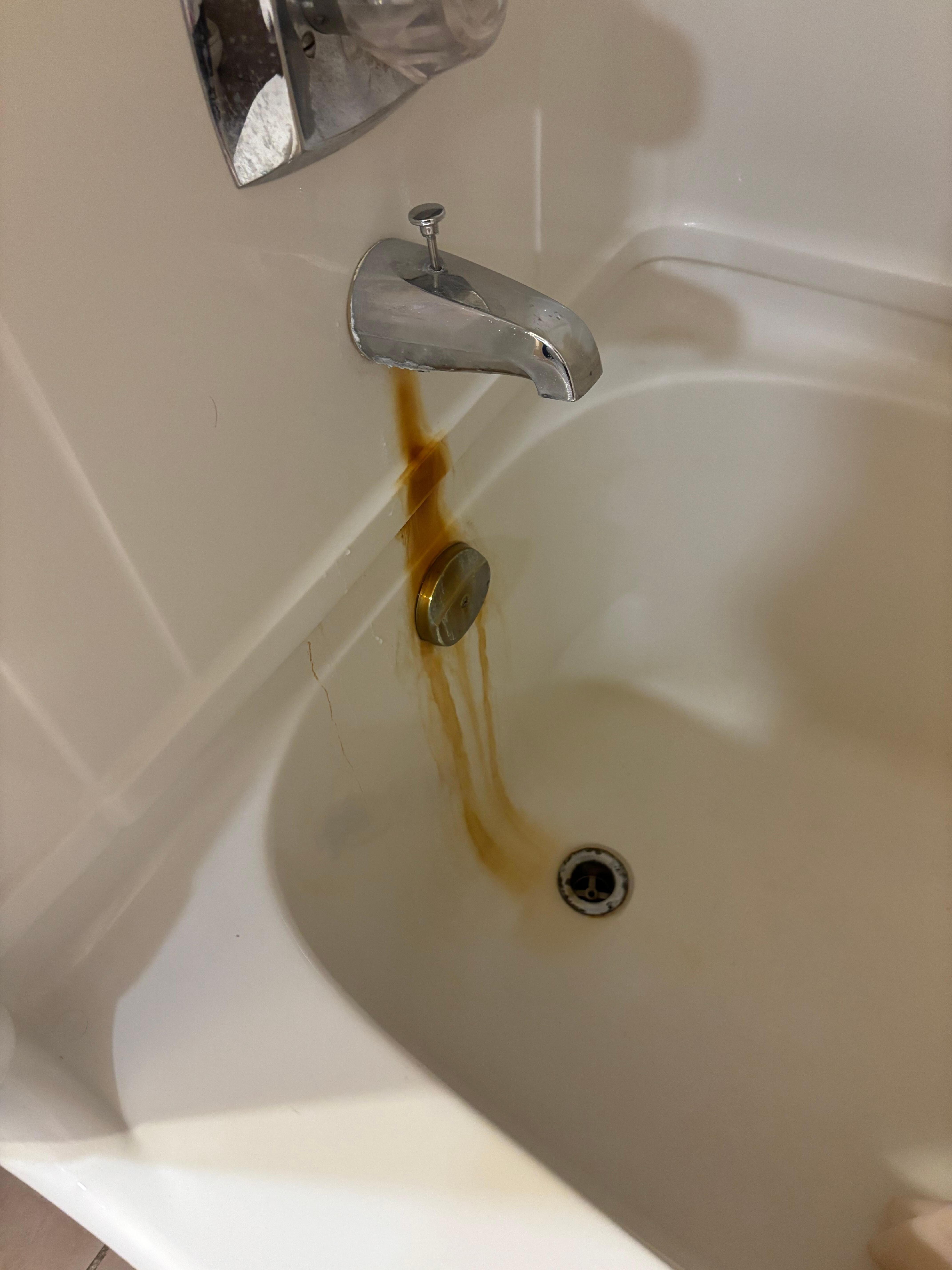 The bathtub