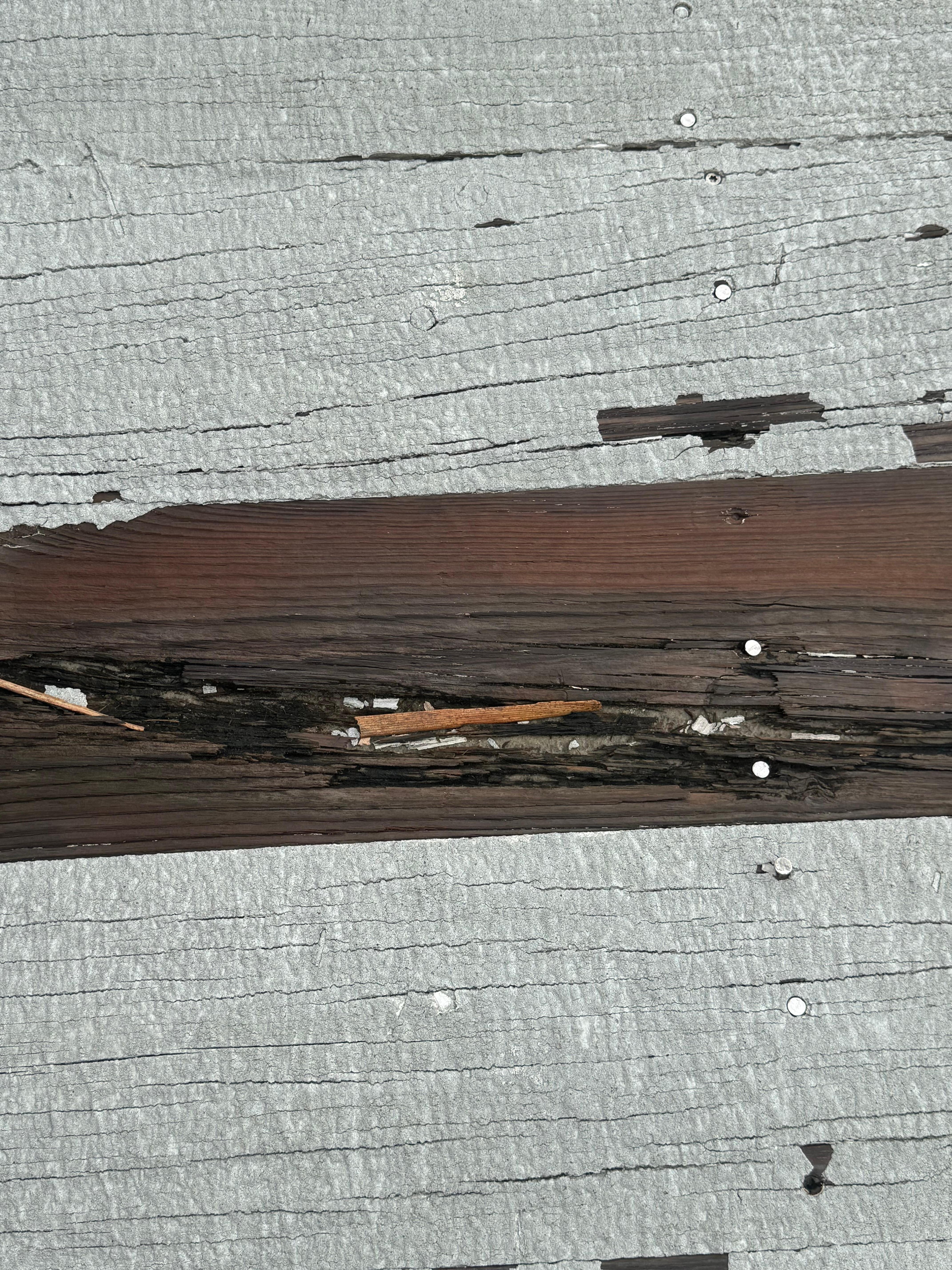 Most areas have rotting wood. This includes the stairs entering the house