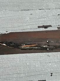 Most areas have rotting wood. This includes the stairs entering the house