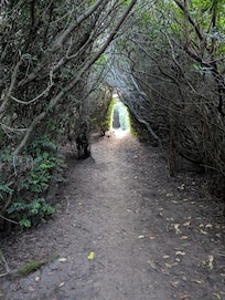 Beach access