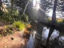 View up the creek from near the fire pit.