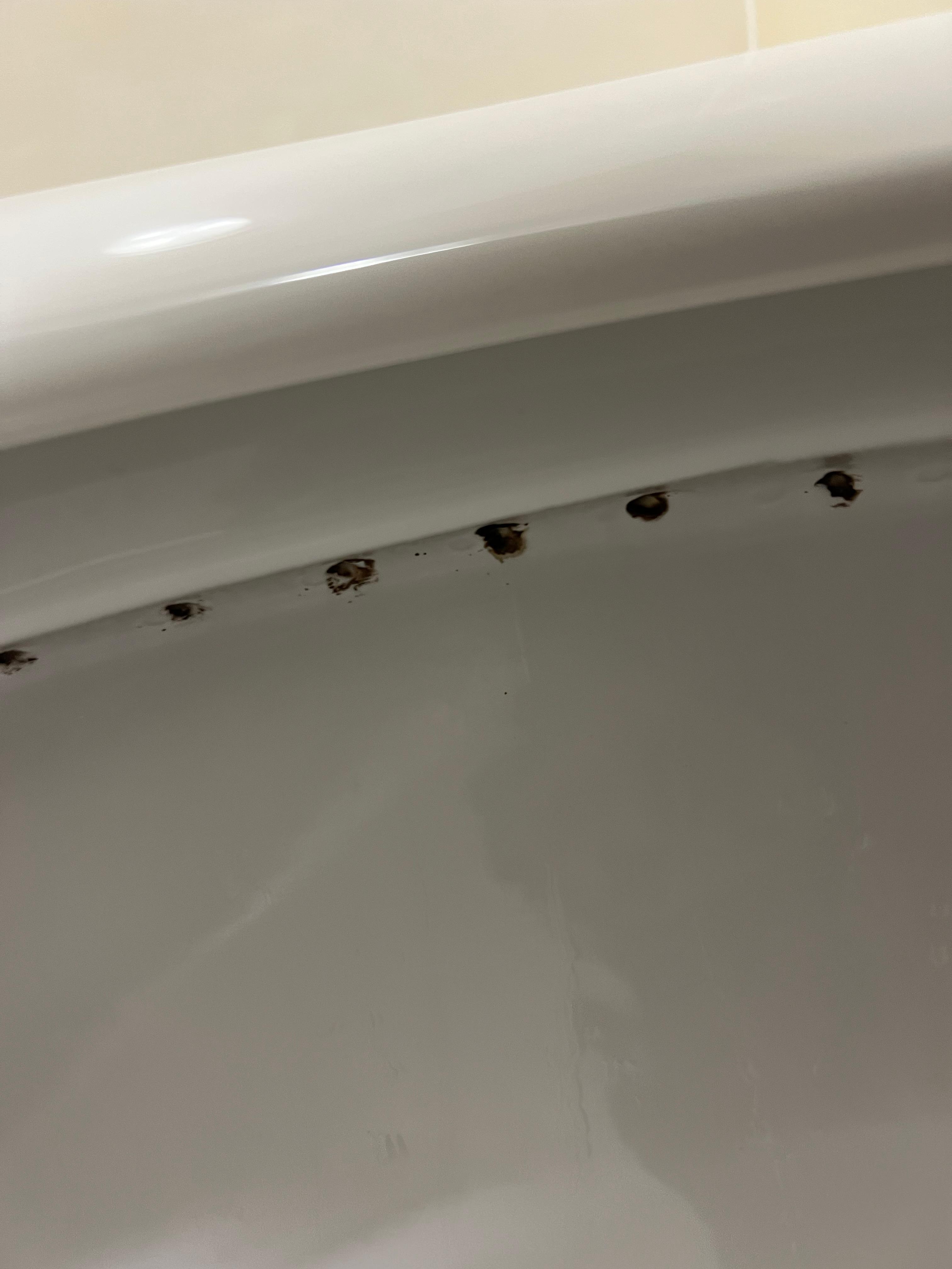 The rim of the toilet 