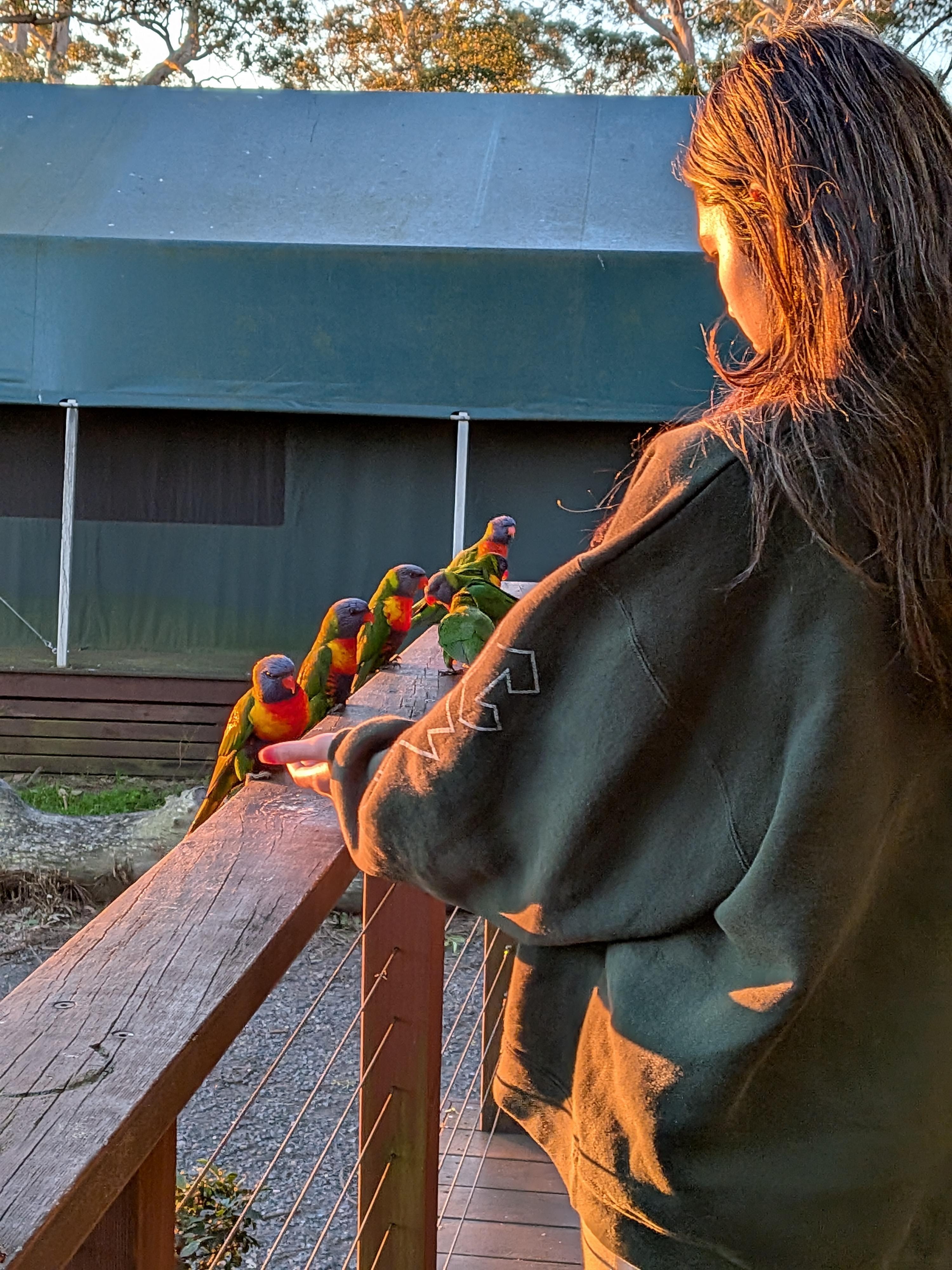 Friendly birdlife