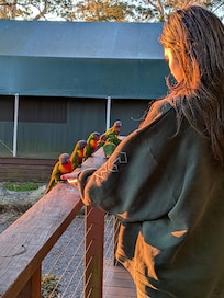 Friendly birdlife