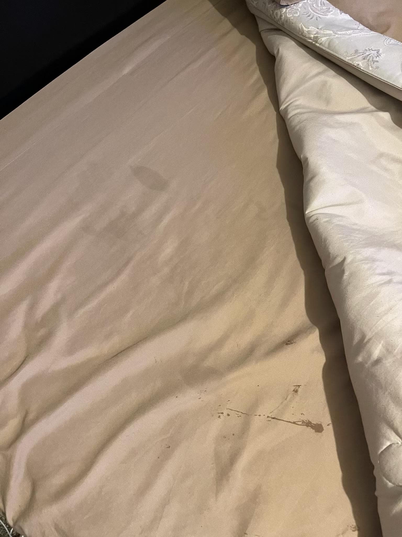 Blood and unknown substance stains