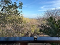 Morning coffee at the Mikado.