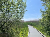 Plum Island