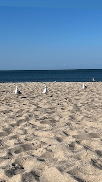 Savannah Beach