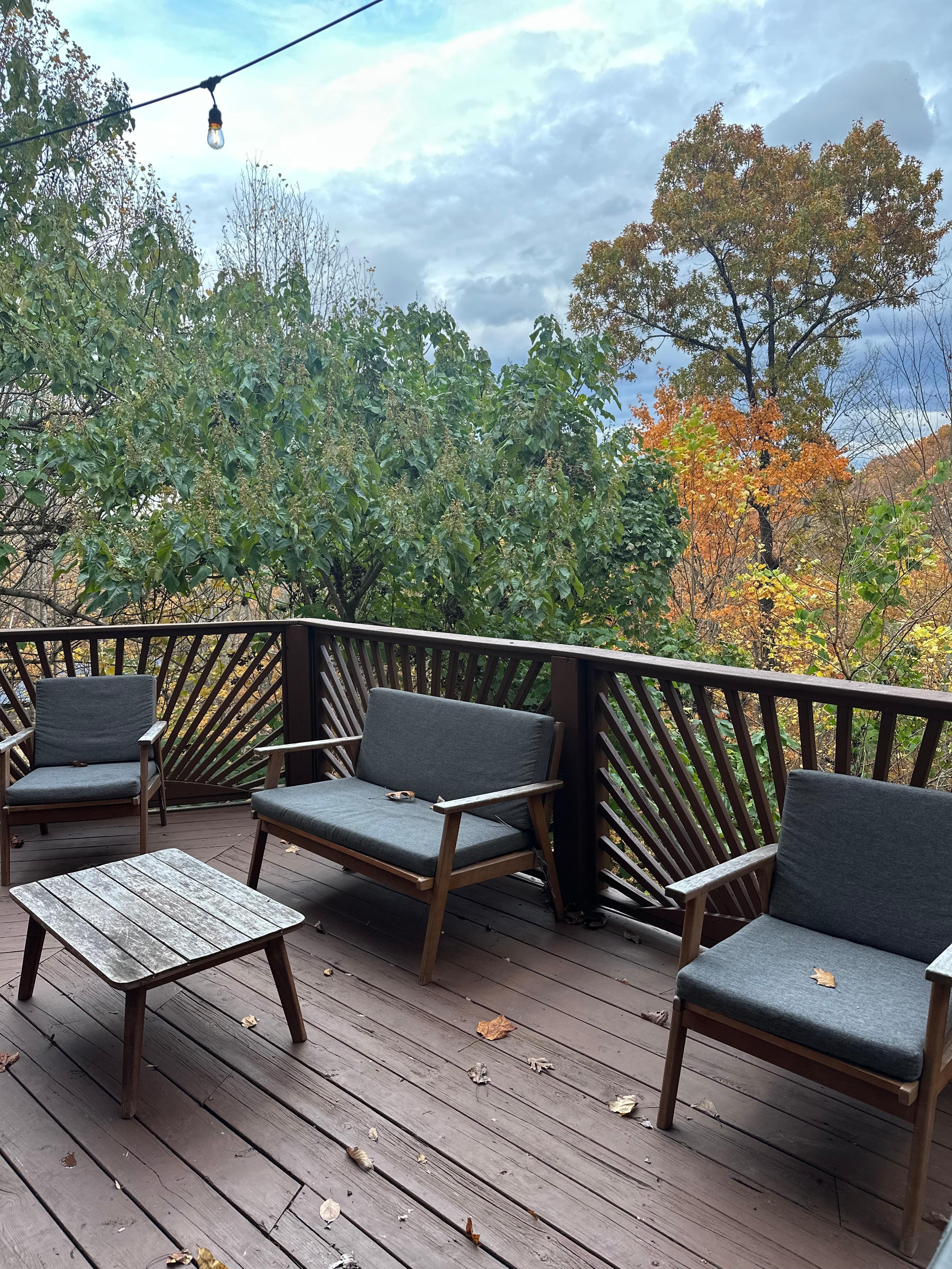 Great secluded deck with ample seating and a gas grill all surrounded by beautiful Smokies 