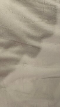 Pubic hairs on sheets