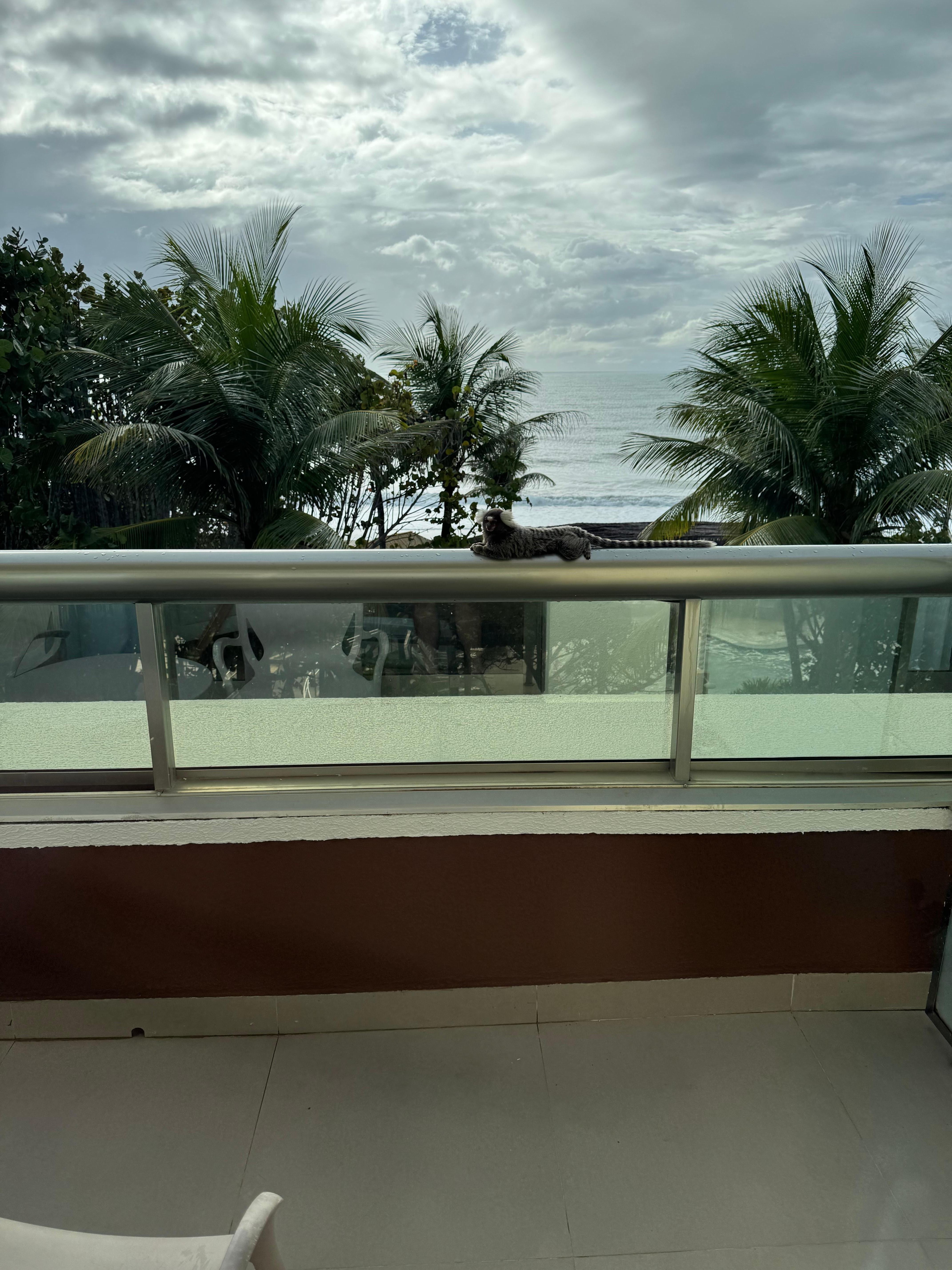 Foto do quarto vista para o mar 