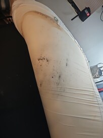 Moldy couch bed