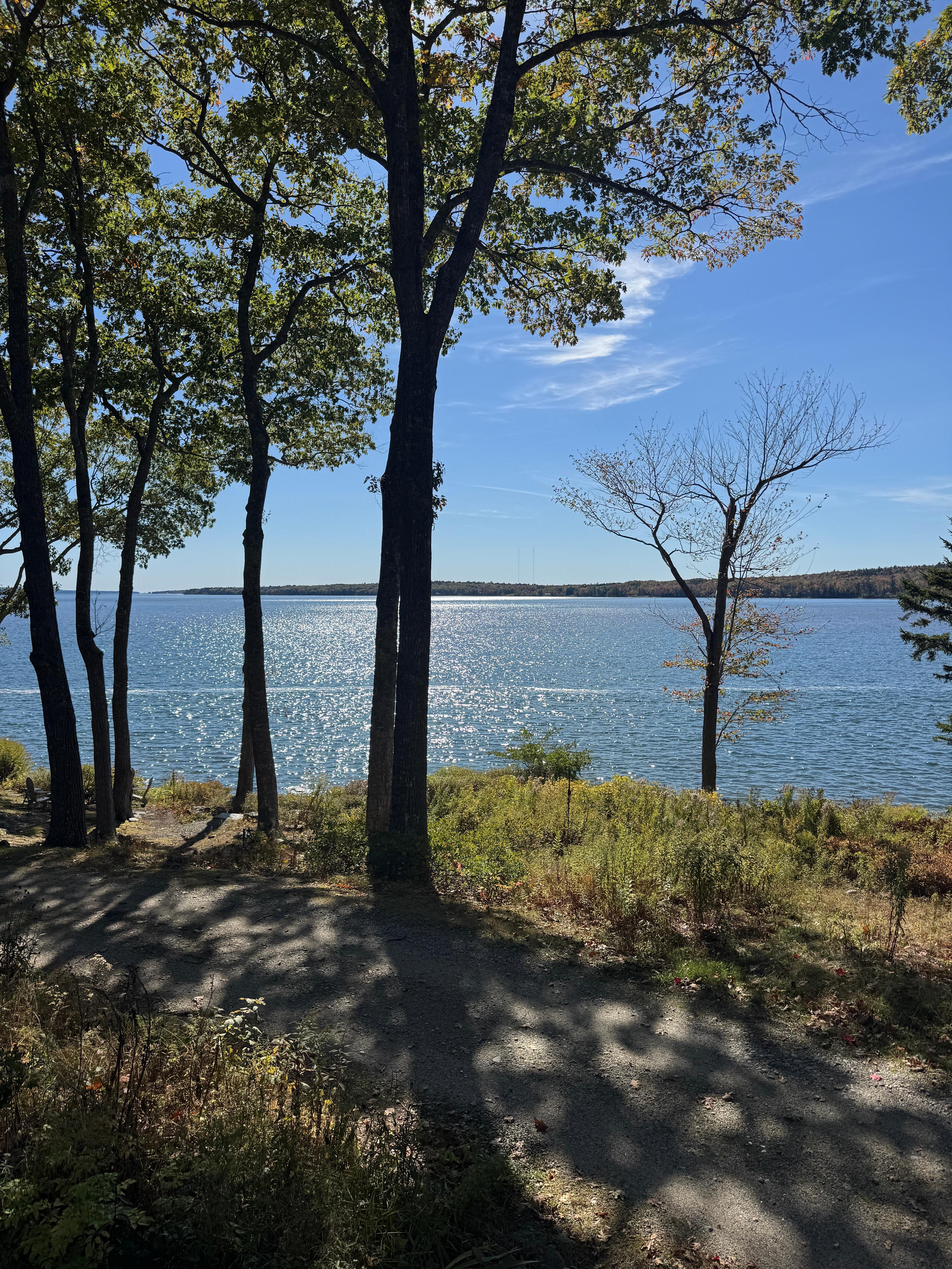 View from the porch. 