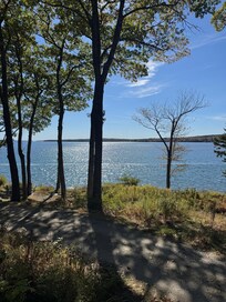 View from the porch.