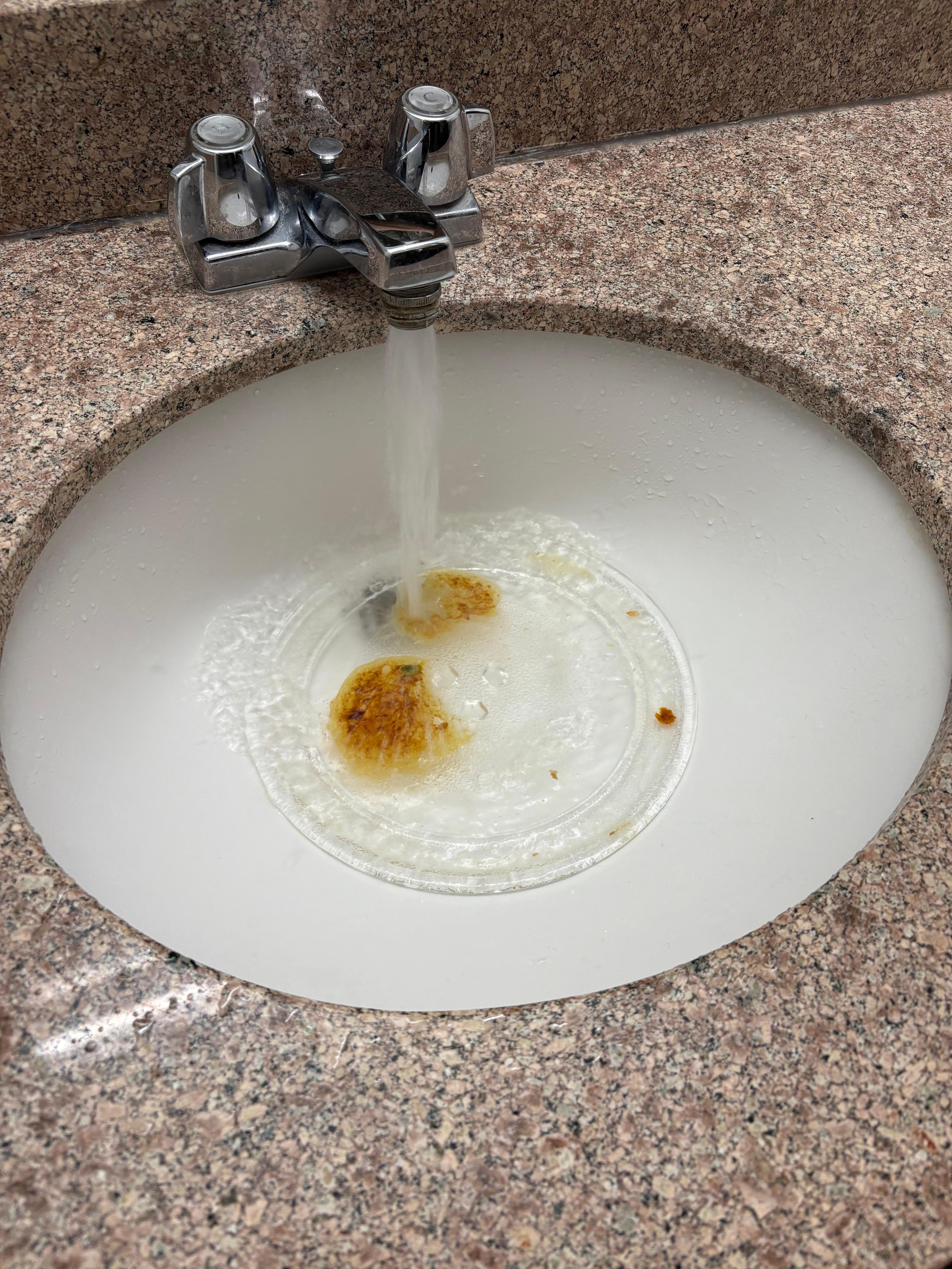 The microwave plate that had the fried food. 