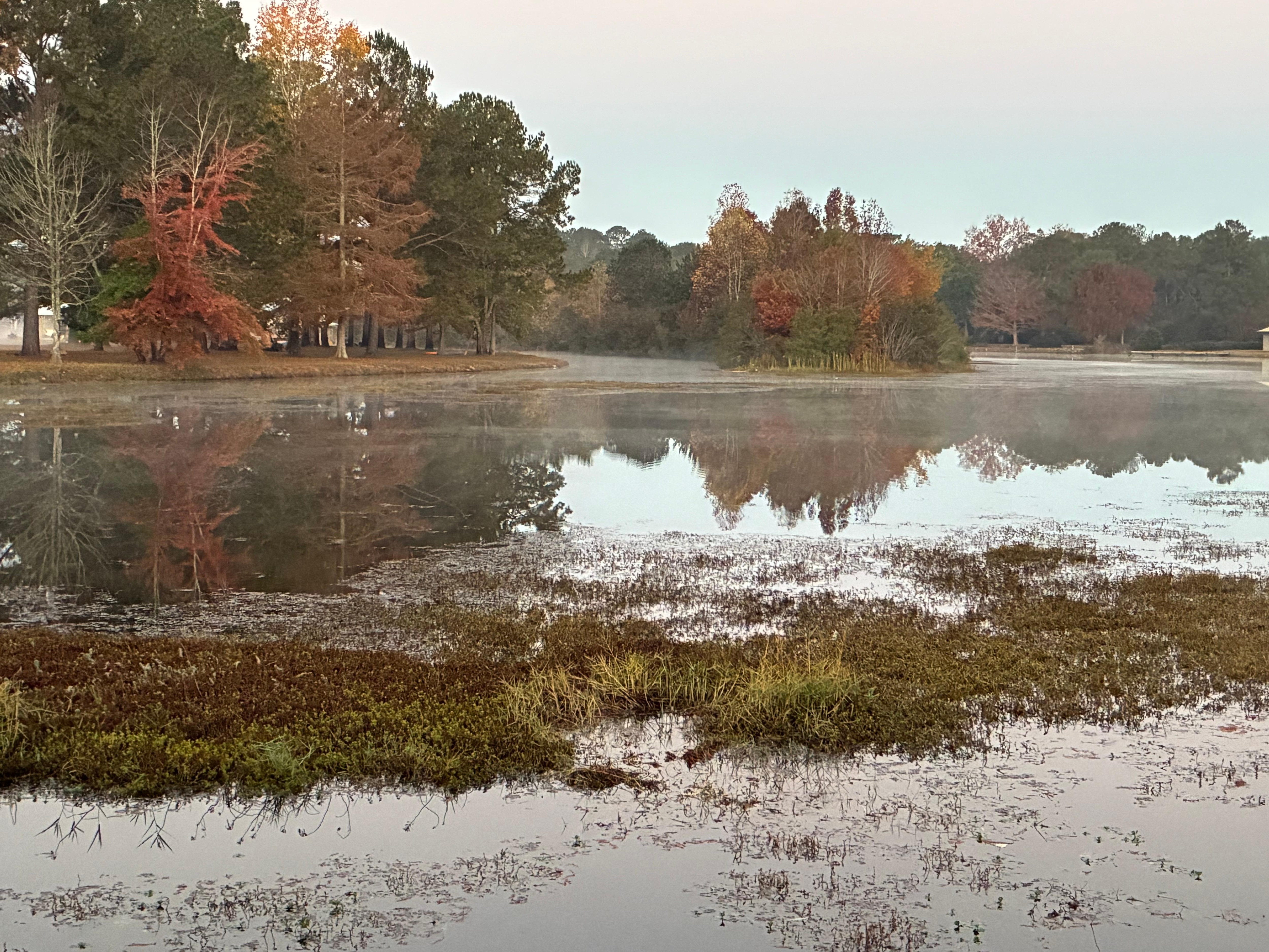 View from front porch!