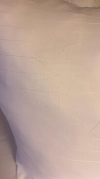 Hair on pillow