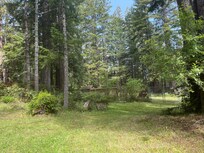 Part of the beautiful property my 3 grandchildren had a blast running around & just being kids (unplugged)