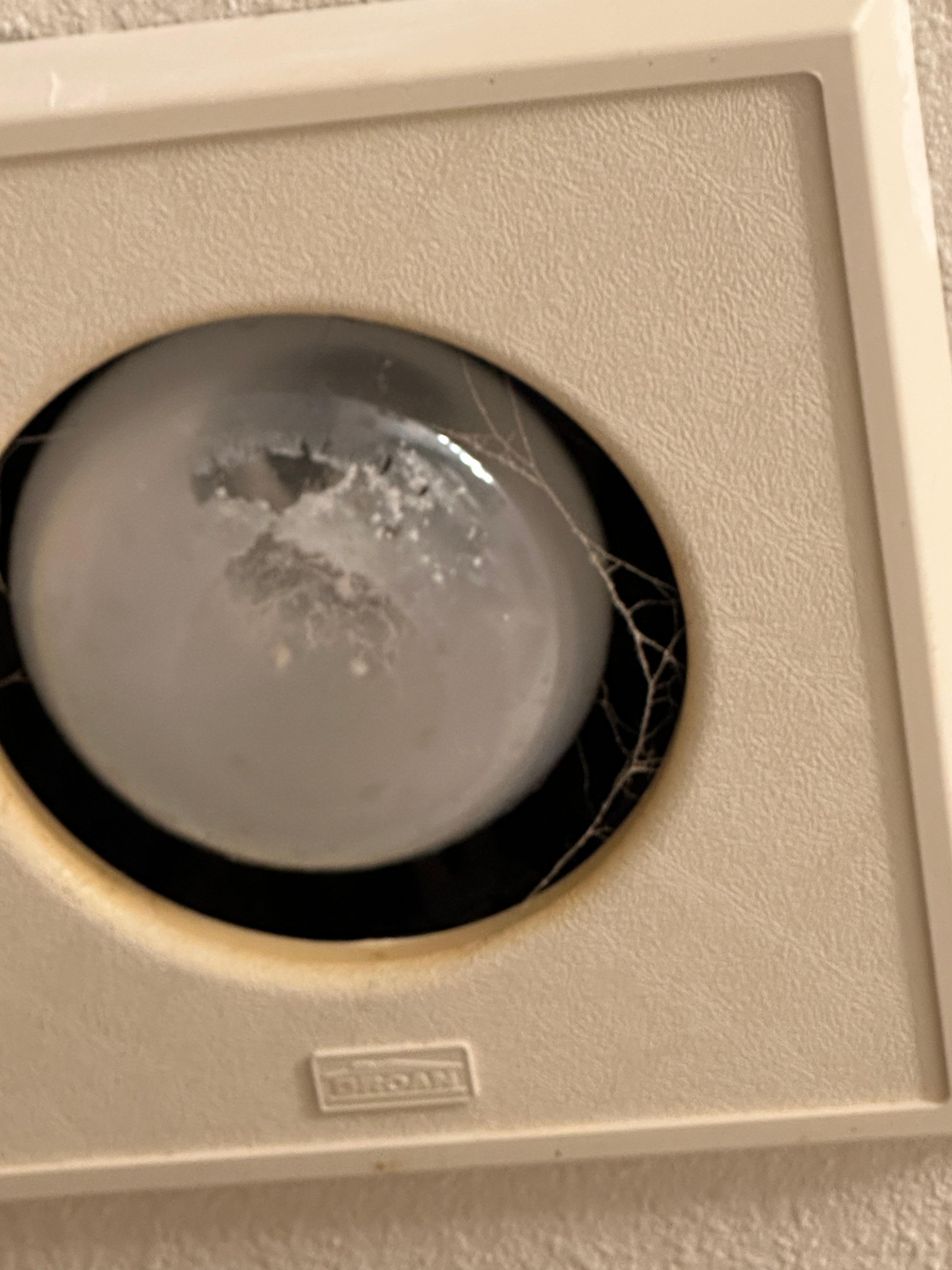 Bathroom light not working. Bugs and debris in extremely old bulb. 