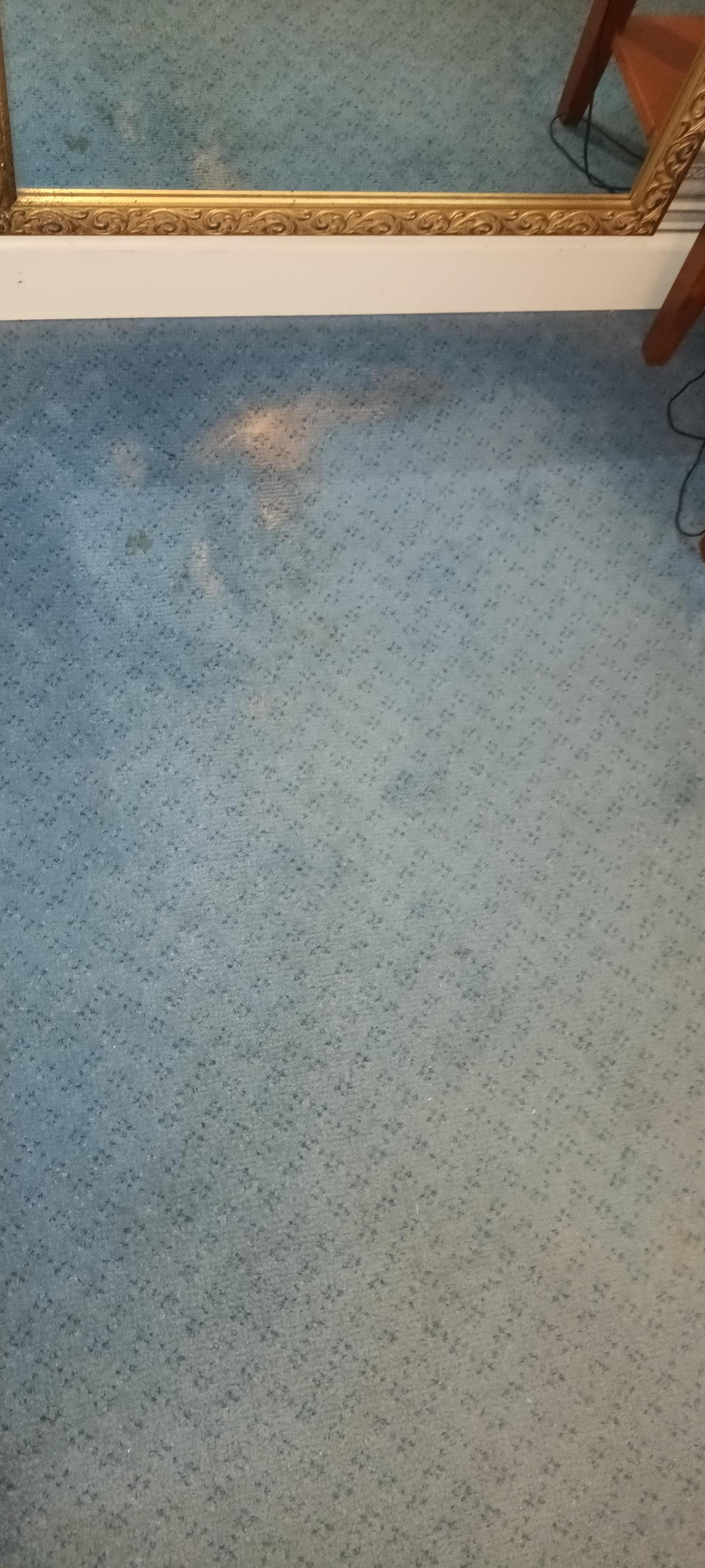 moquette del corridoio macchiata, questa foto si riferisce alla moquette della camera, macchiata e molto sporca