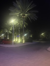 Beautiful night lifr