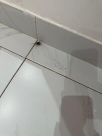 Hair in bathroom