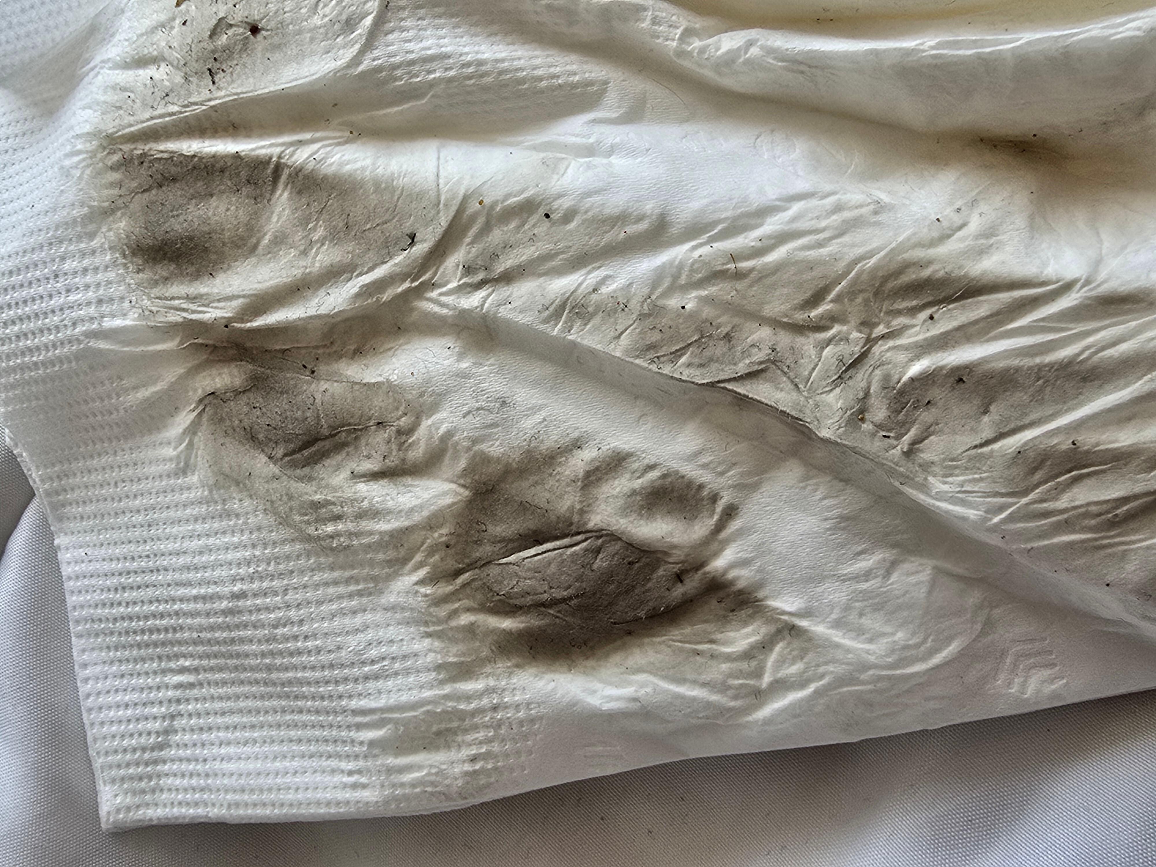 Cleaned puddle that housekeeping left.