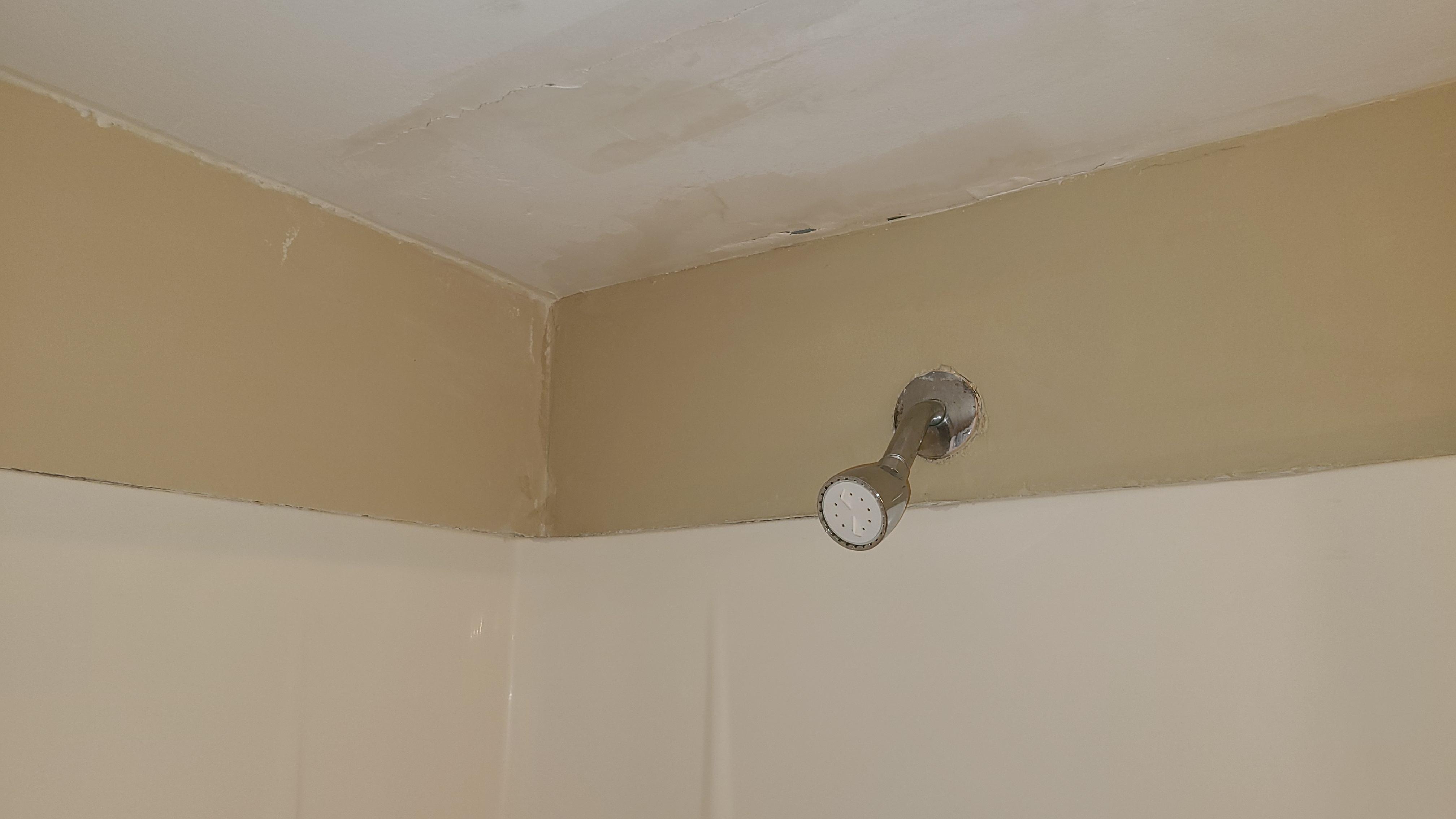 Shower ceiling in second master bathroom. 