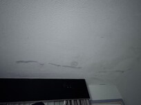Stains on the cieling