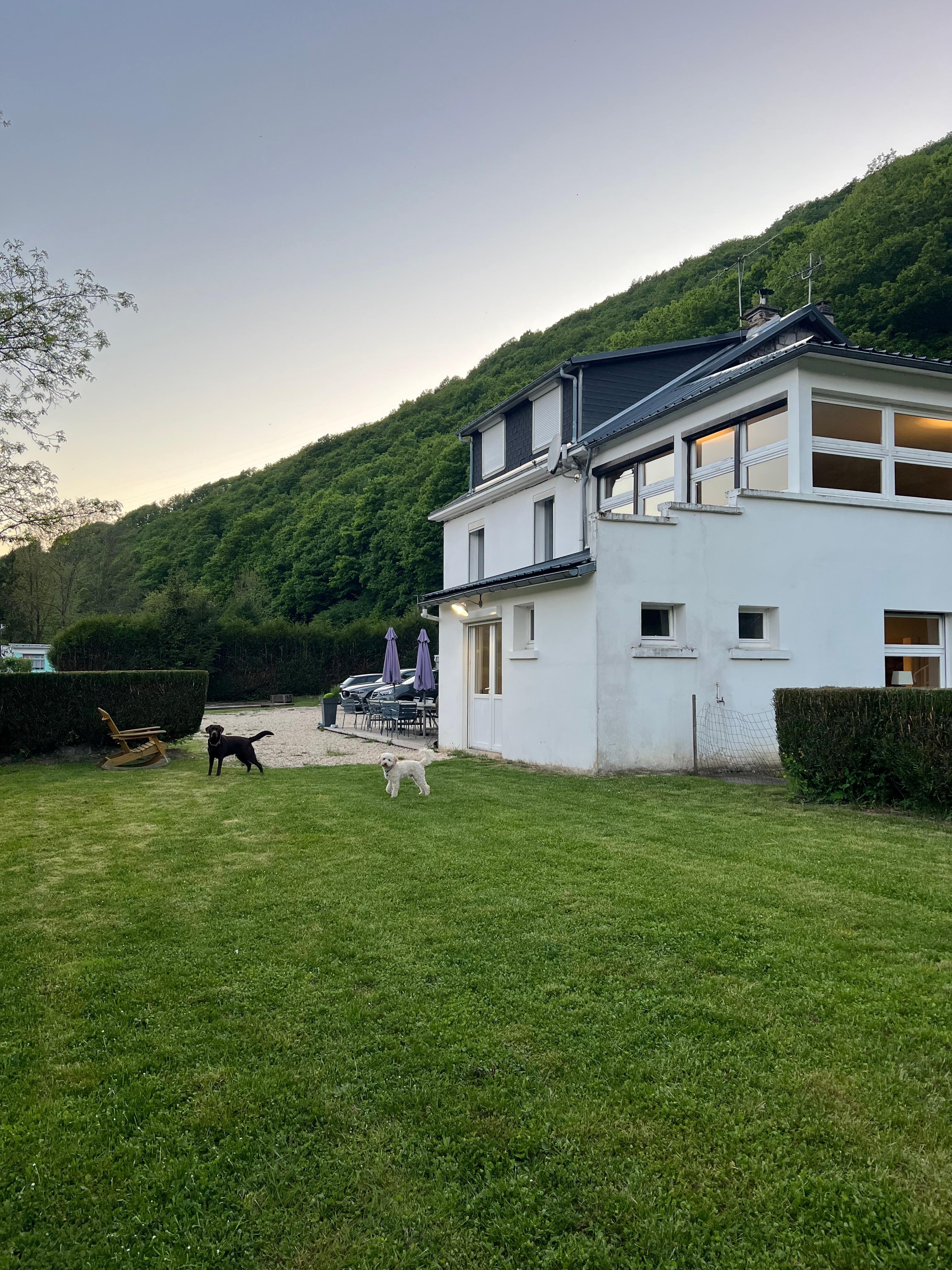 Garden view
