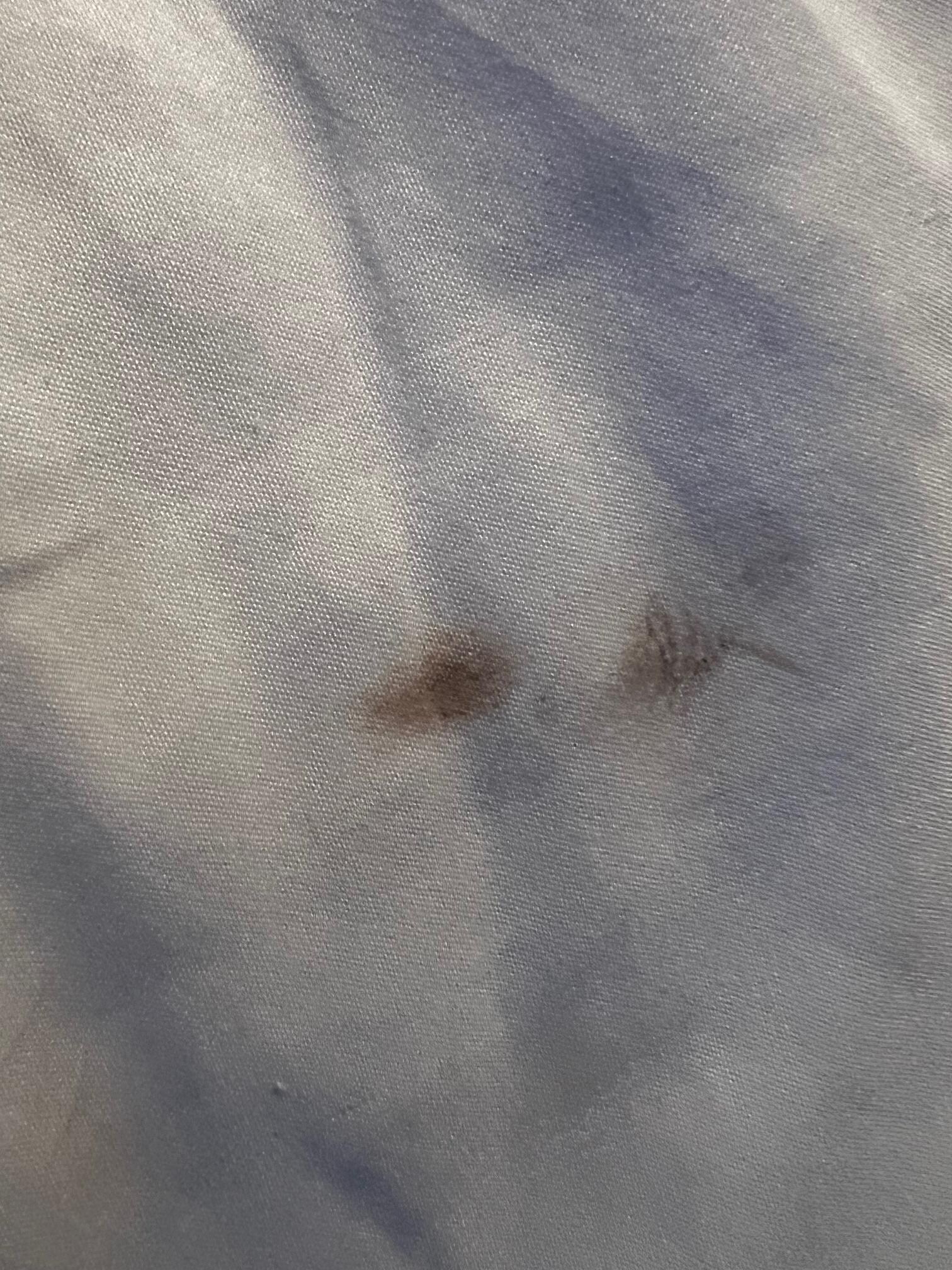 Blood on Bedsheets