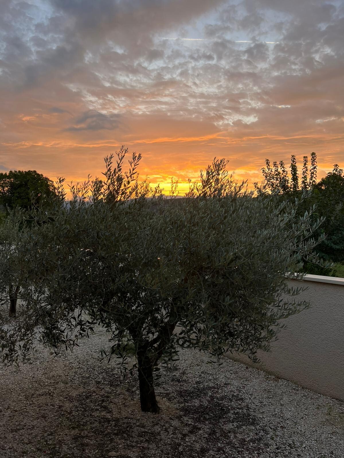 Sonnenaufgang auf der Terrasse 