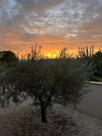 Sonnenaufgang auf der Terrasse