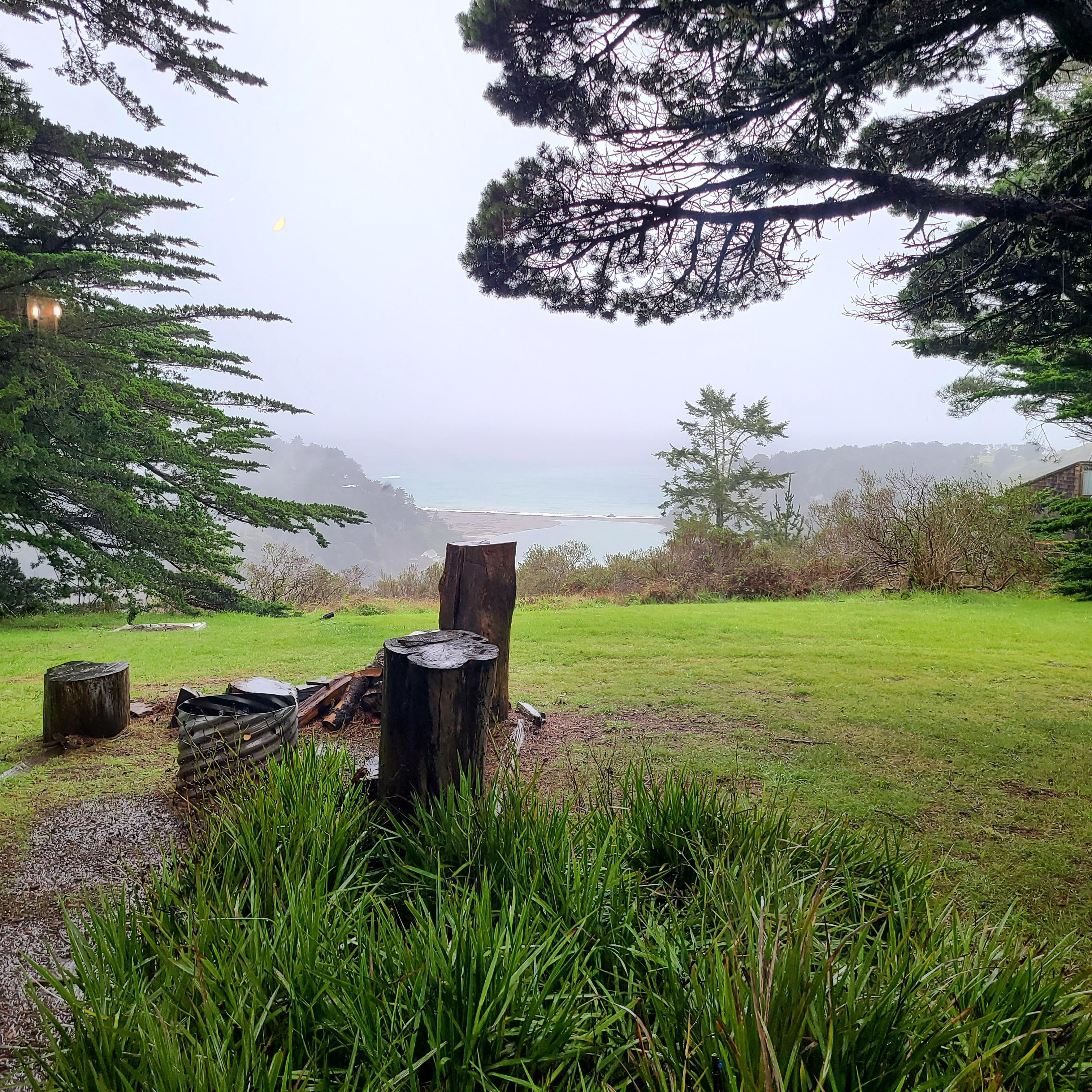 View from the back door.