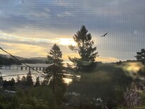 View from
Bedroom window in the morning